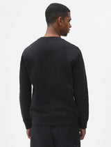 Dickies Oakport Crew - 2 Varianter