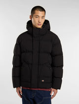 Dickies Eagleville Steppjacke