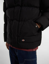 Dickies Eagleville Steppjacke