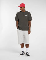 Dickies Buchtell T-Shirt