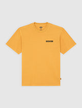 Dickies Darrtown Tee