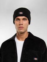 Dickies Gibsland Beanie