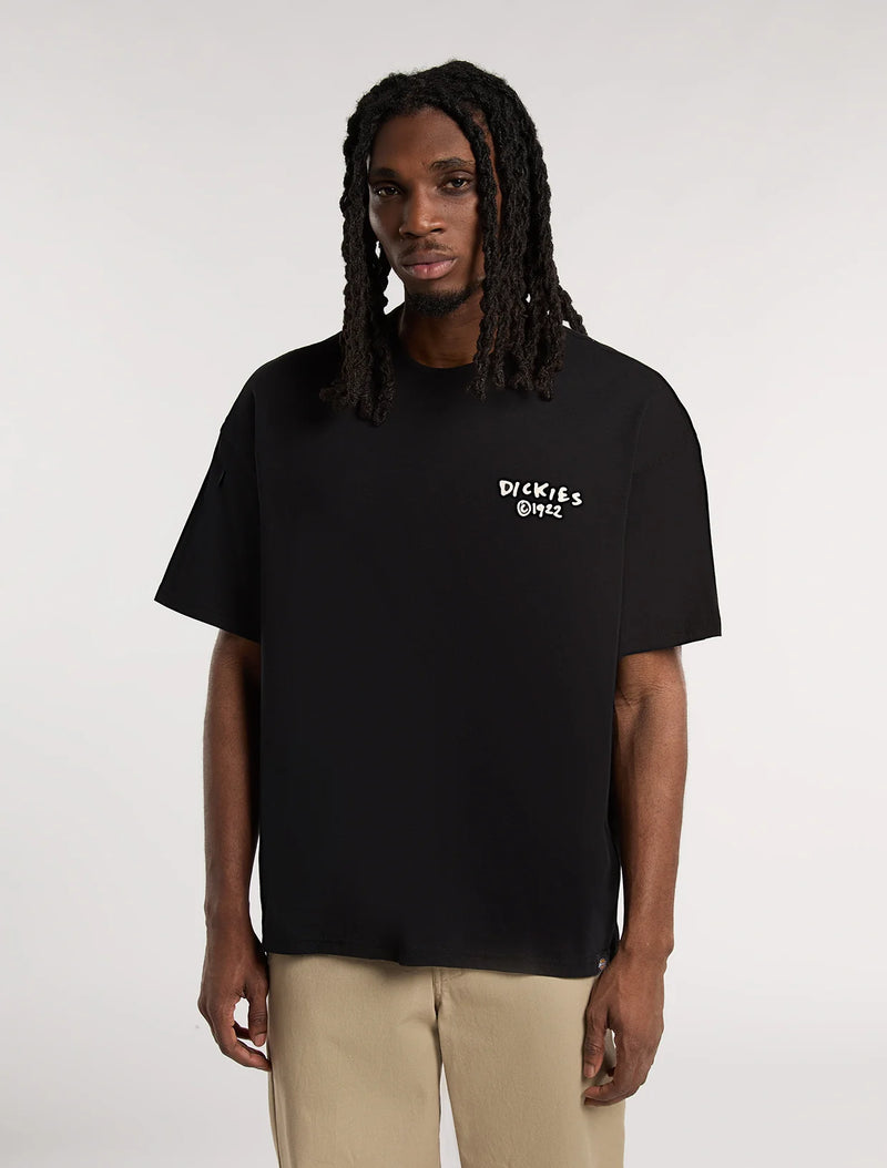 Dickies Sneedville Tee