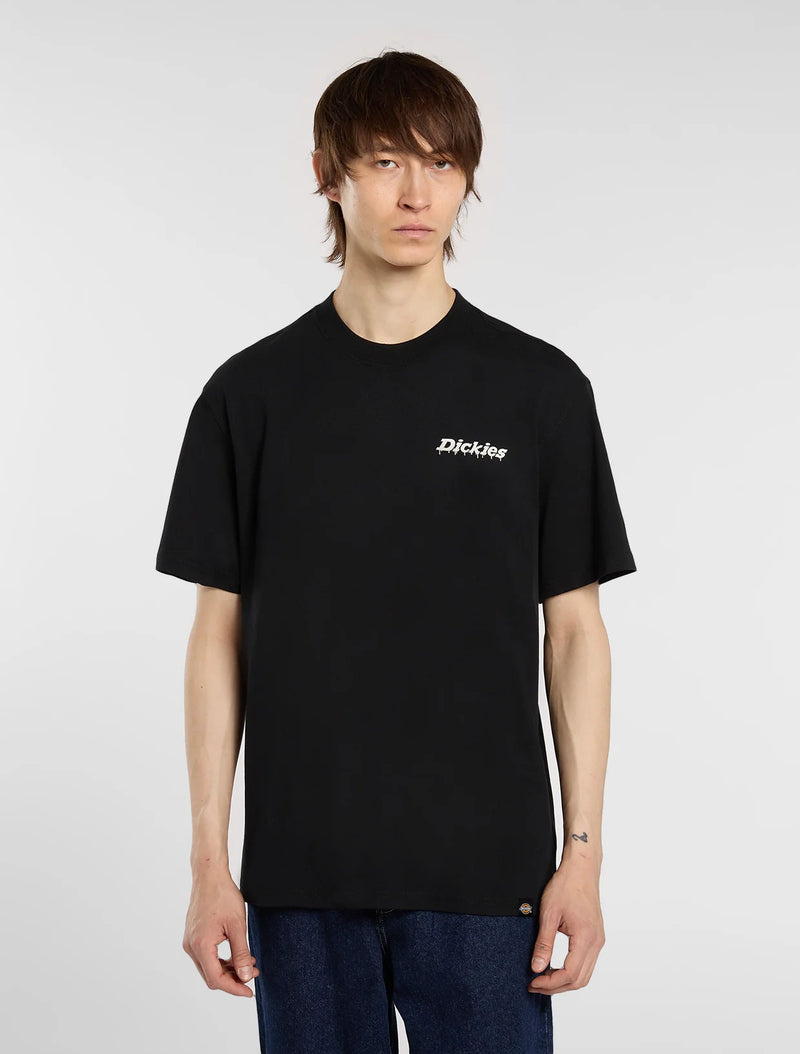 Dickies Statesville Tee