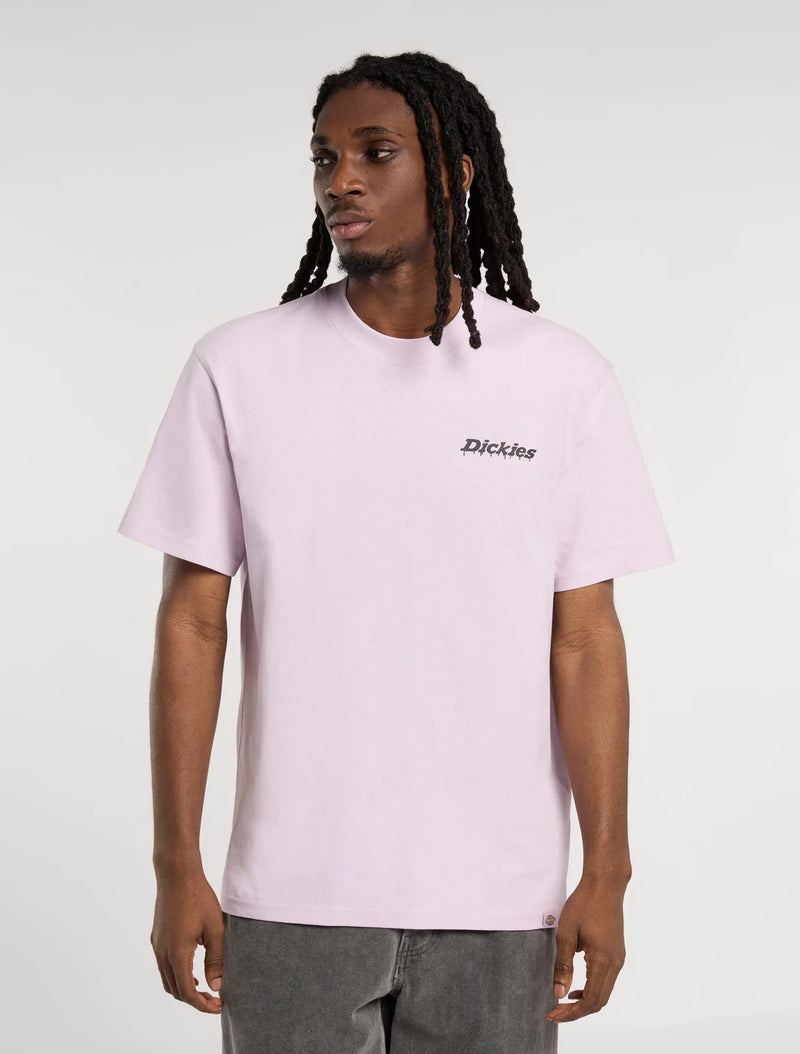 Dickies Statesville Tee