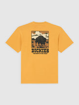 Dickies Darrtown Tee